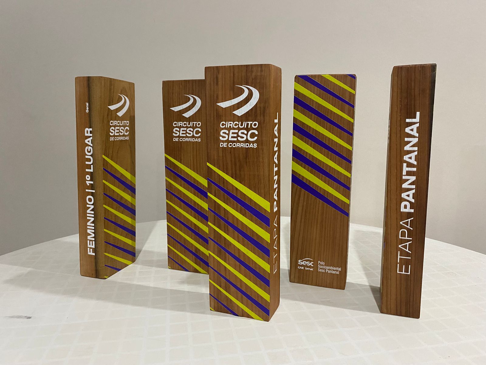 Trof&eacute;us em acr&iacute;lico personalizados para programas esportivos corporativos em Campinas